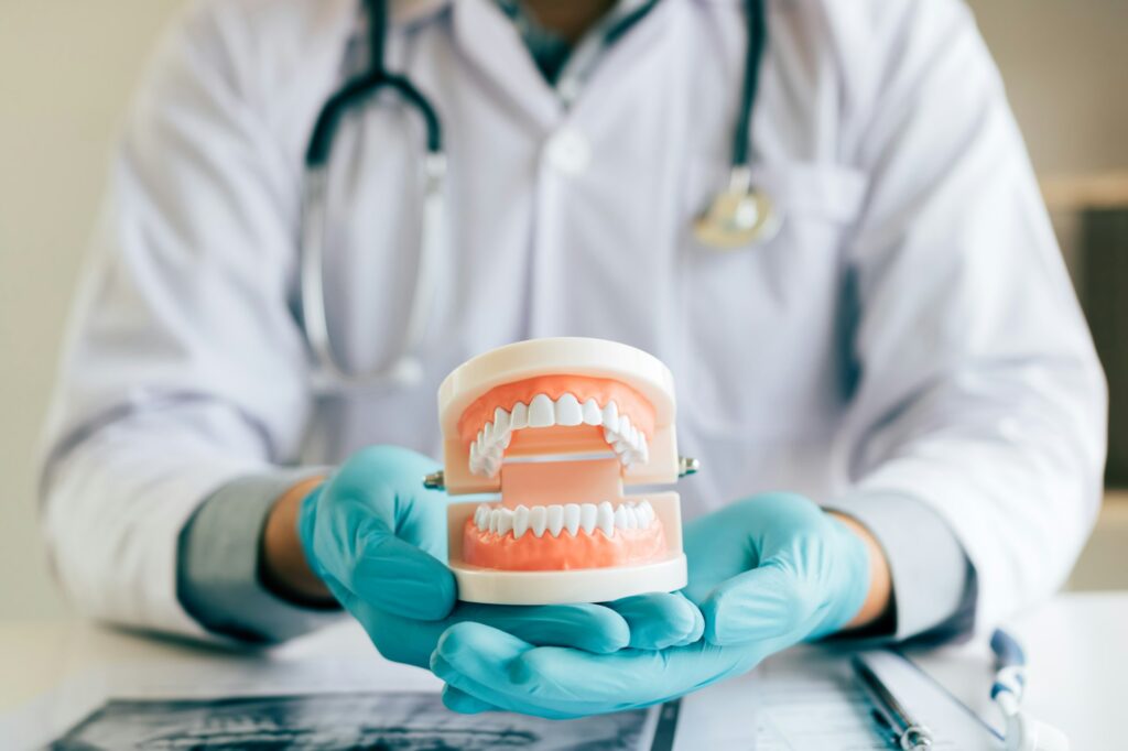 Dentist holding dentures in office room.